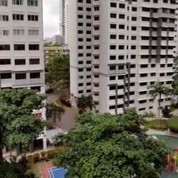 Blk 17 Cantonment Towers (Bukit Merah), HDB 4 Rooms #625094971